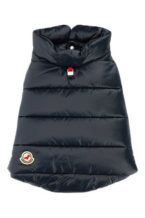 MONCLER Navy Mini Dog Padded Jacket