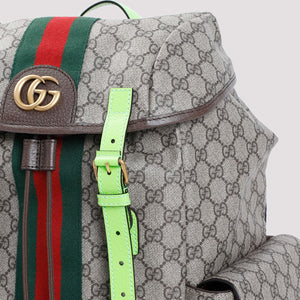 GUCCI Durable Urban Backpack W:24cm H:40cm D:16cm