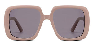 DIOR Men's Mini Acetate Sunglasses