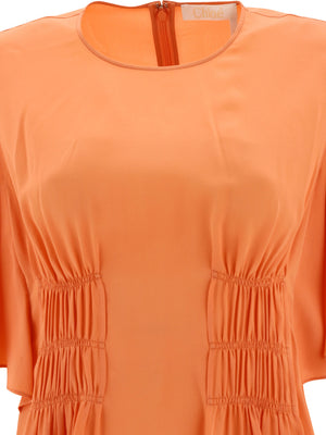 CHLOÉ Pink Wing Sleeve Top for Women